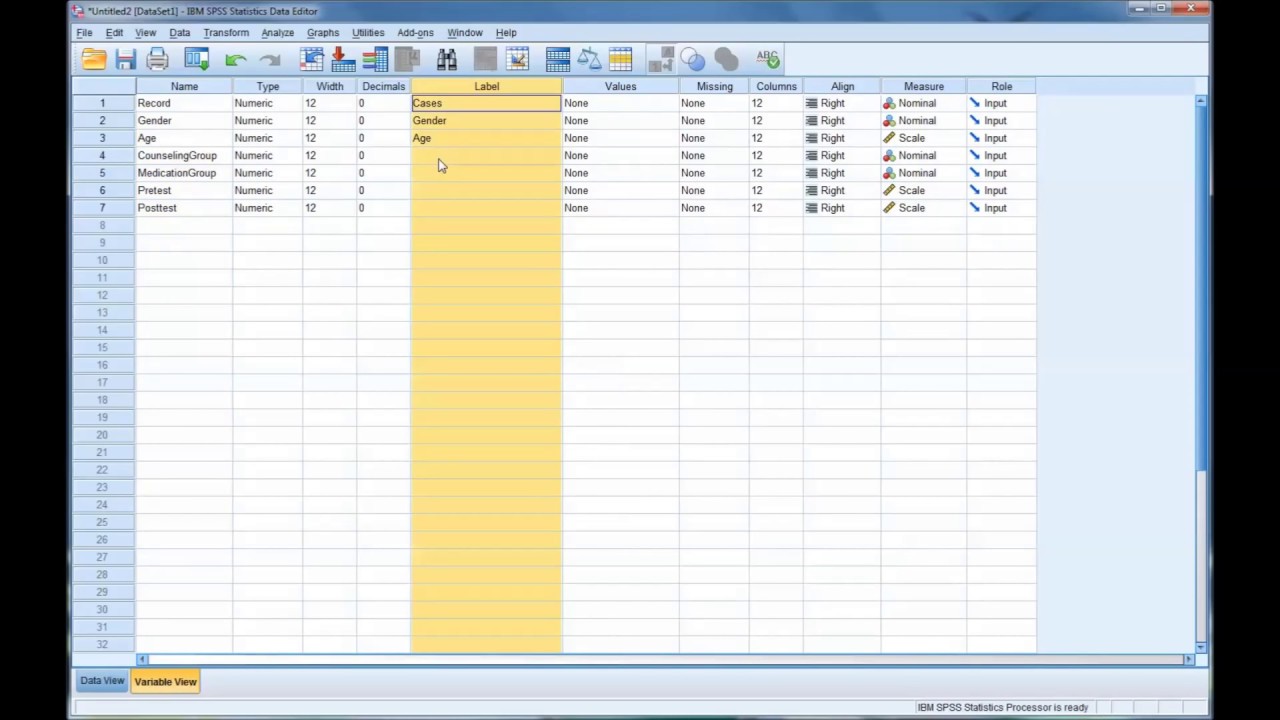 import-data-from-microsoft-excel-into-spss-youtube