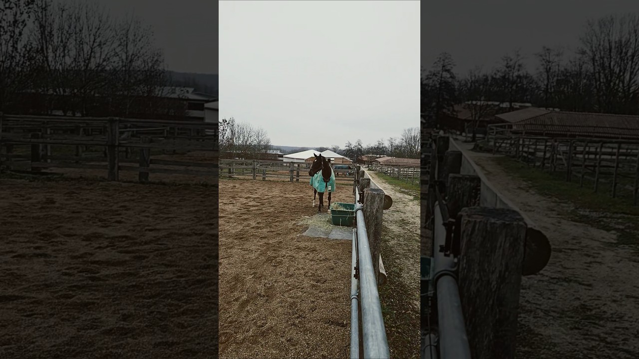 Horse Stable in France 