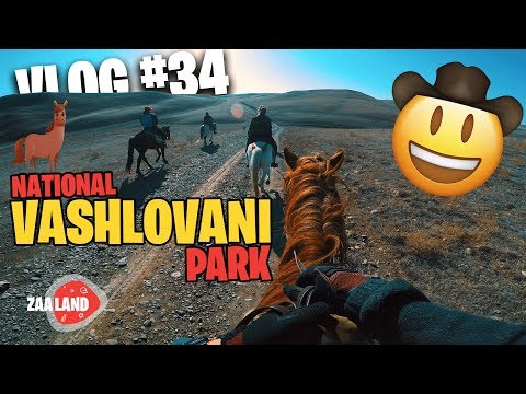 VLOG#34 - RIDING HORSES IN VASHLOVANI NATIONAL PARK - ცხენებით გასეირნება ვაშლოვანის ეროვნულ პარკში