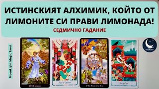 :  ,      !  (24.02-02.03)