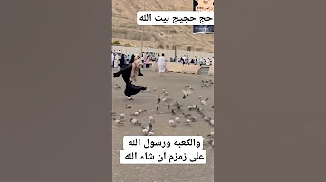 حج حجيج وائل جسار ليله الاسراء والمعراج اللهم لبيك 