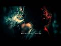 Alok &amp; Alan Walker - Headlight (DeepSphere Sounds Remix)