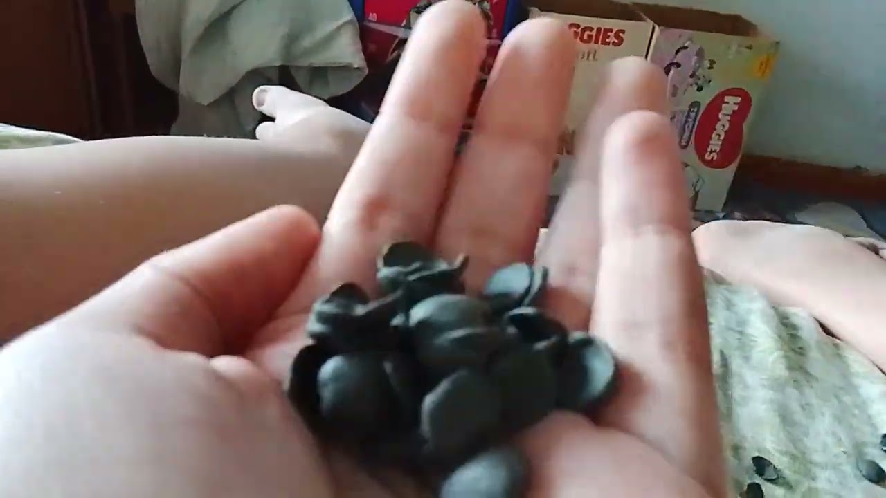 Domestos turbo fresh commercial 2019