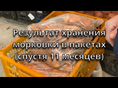 Результат хранения морковки в пакетах спустя 11 месяцев