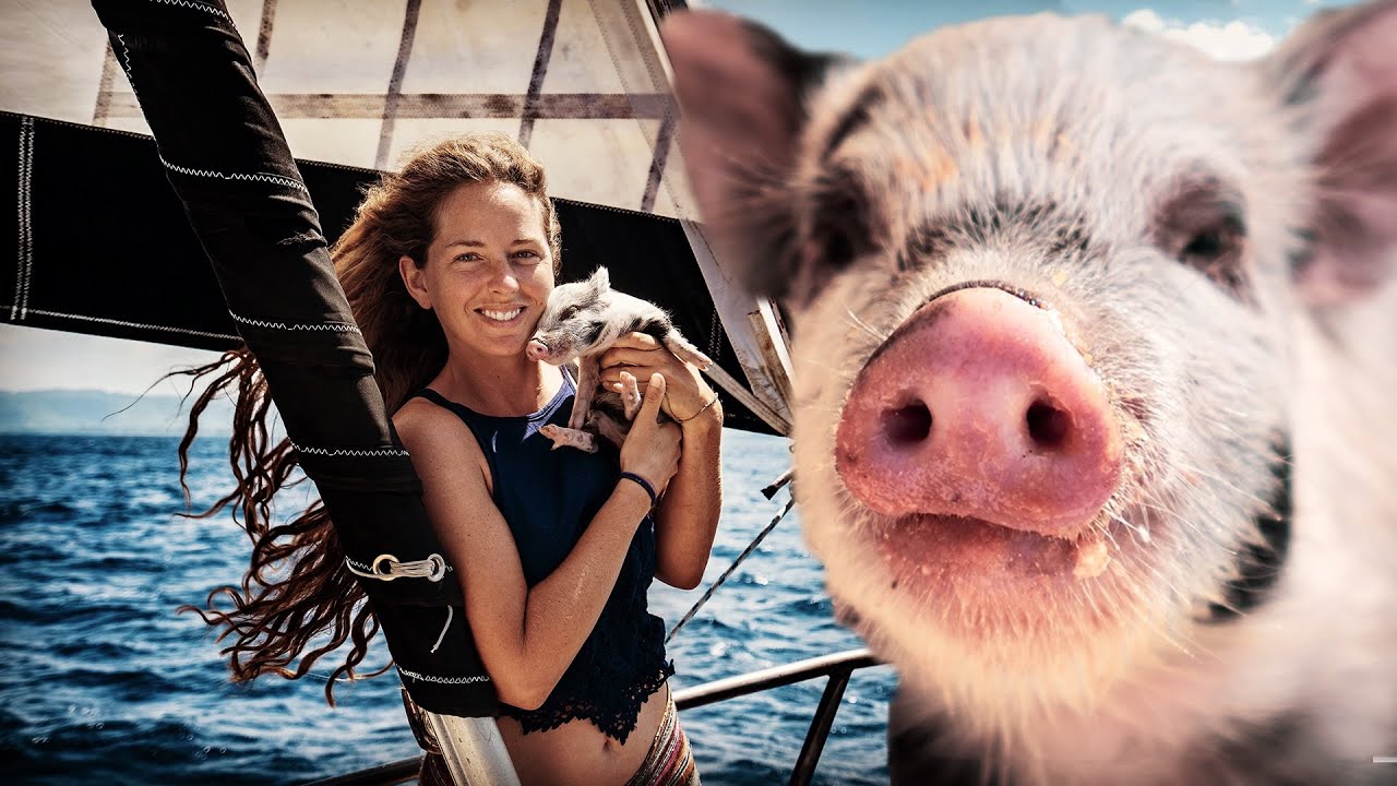 🐷 Say AHOY to Peanut the Sailing Pig!!! (Expedition Drenched S1 Ep. 50)