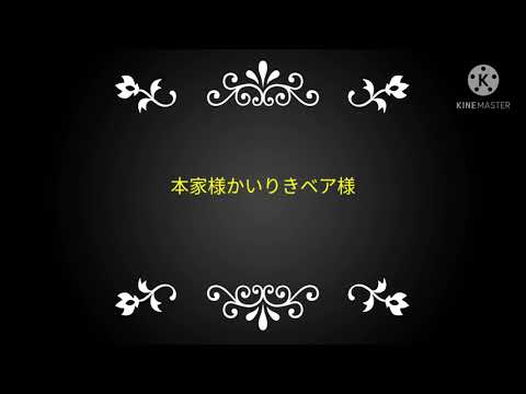メンタルチェンソー(東方PV)