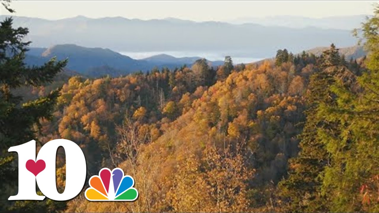 GSMNP says visitors spent more than $2 billion in communities near the park