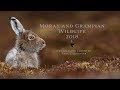 Wildlife and Scenery of Cairngorms National Park and Moray 2018