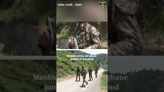 Operation Sheruwali Day 28: Rajouri Ke Junglon Mein Jaari Hai Terrorists Ki Talaash 🇮🇳