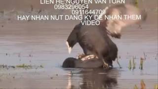 tieng  sam cam doi goi bay