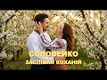 СОЛОВЕЙКО ЗАСПІВАЙ КОХАНІЙ POP STYLE VERSION