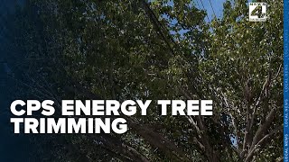 Famous CPS Energy ramped up tree trimming years before Beryl exposed power line vulnerabilities Profile