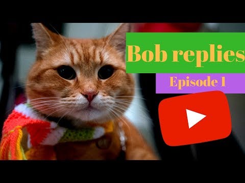 bob-replies-ep.-1