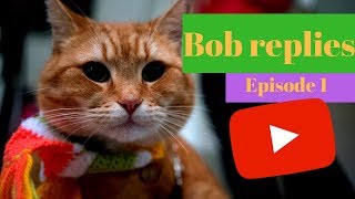 Bob Replies Ep. 1 by Streetcat TV 88,063 views 6 years ago 6 minutes, 3 seconds