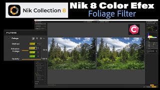 Nik 8 Color Efex The Foliage Filter