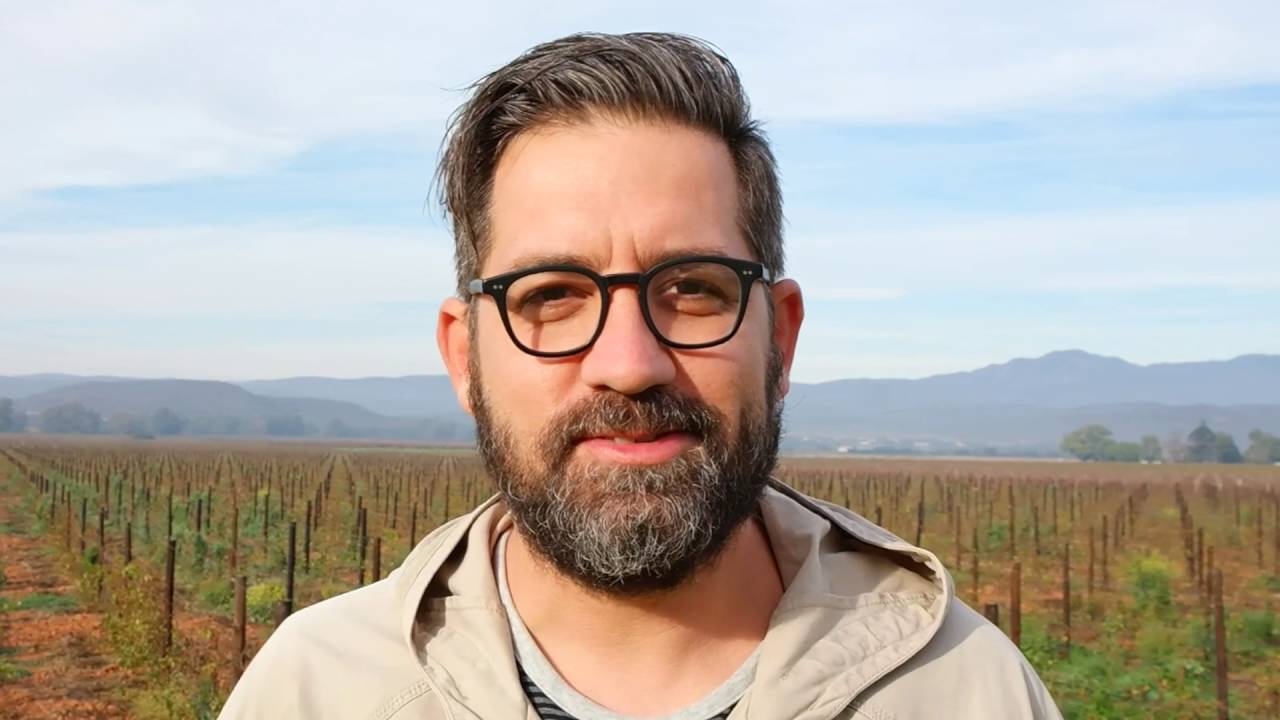 The Wacky Wine Festival Is "More Than Just Wine" YouTube