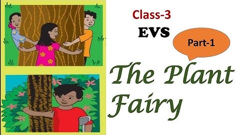 NCERT Class 3 EVS Chapter 2 The Plant Fairy with Hindi explanation|the plant fairy explanation inHin