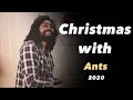 Christmas with Ants (2020) π