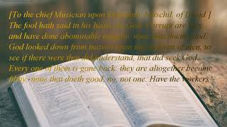 The Holy Bible | book 19 - Psalms - Chapter 53