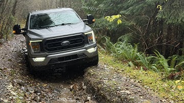 Pacific Northwest Rainforest Adventure ￼