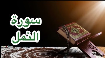 الشيخ أنس الميمان ❤️ تلاوه ممتعه وخشوع جميل 😍سورة النمل 🥰
