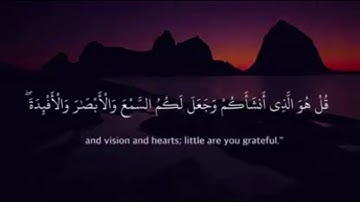 أفمن يمشي مكبا على وجهه أهدى أمن يمشي سويا على صراط مستقيم .. سورة الملك