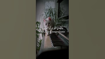 Thumbnail of Best Nasheed Taweel al shawq | Ahmed Bukhatir | Beautiful Nasheed 💖 #islam