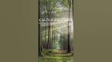 #القرآن_الكريم #تلاوات #تلاوة_خاشعة #اسلام_صبحي