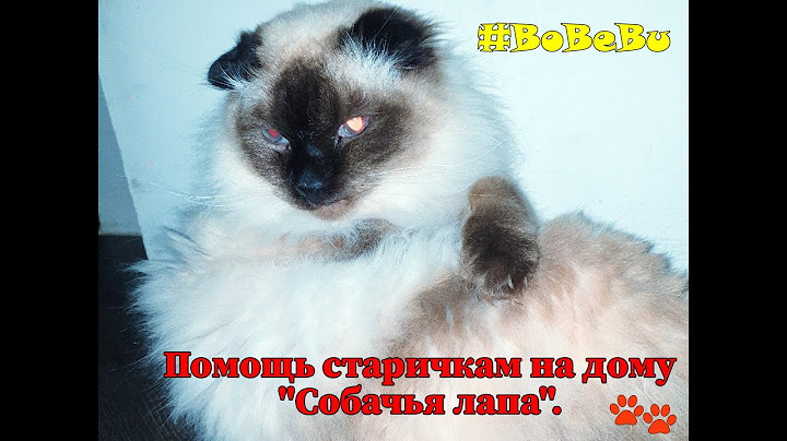 Помощь старичкам на дому "Собачья лапа".