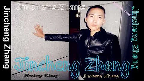 Jincheng Zhang - Conscience I Love You (Background Music) (Instrumental Song) (Official Audio)