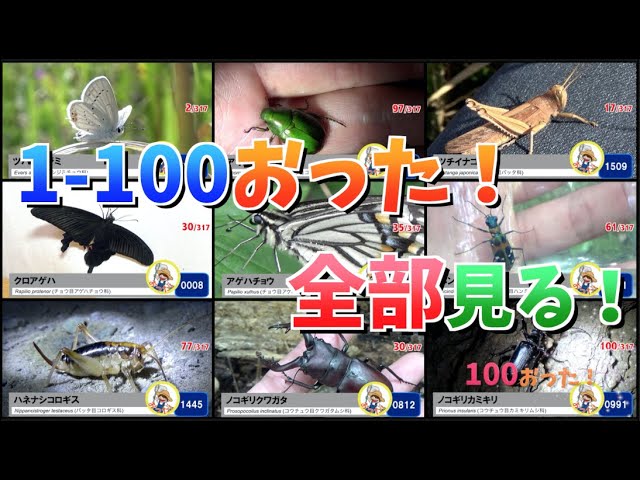 100 types] Let's look back on the 