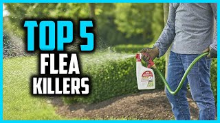 ✅ Top 5 Best Flea Killers for Yards 2026
