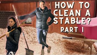 HOW TO CLEAN A STABLE (Part 1)  (Equestrian Education) How To Clean A Horse Stable