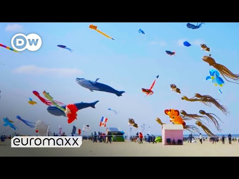 Video: Ļaujiet jūsu Kites augt šajā Kite festivāls!