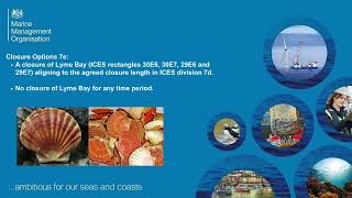 King scallop closure consultation 7d and Lyme Bay in 7e