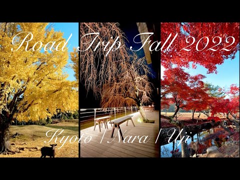 京都奈良宇治 Day 1｜親子自駕遊紅葉2022 | 6 Days Road Trip in Kyoto, Nara, Uji Autumn 2022 🍁🦌