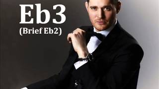 Michael Bublé - Feeling Good Vocal Showcase