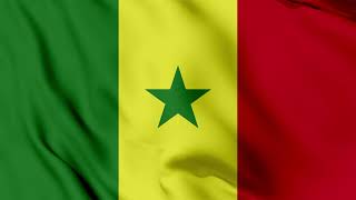 Senegal Flag Waving Background | HD | ROYALTY FREE screenshot 3