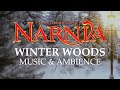 Chronicles of Narnia | Peaceful Winter Woods Music & Ambience in 4K