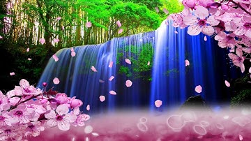 سورة الملك، تلاوة مؤثرة | الشيخ عمرو شكري