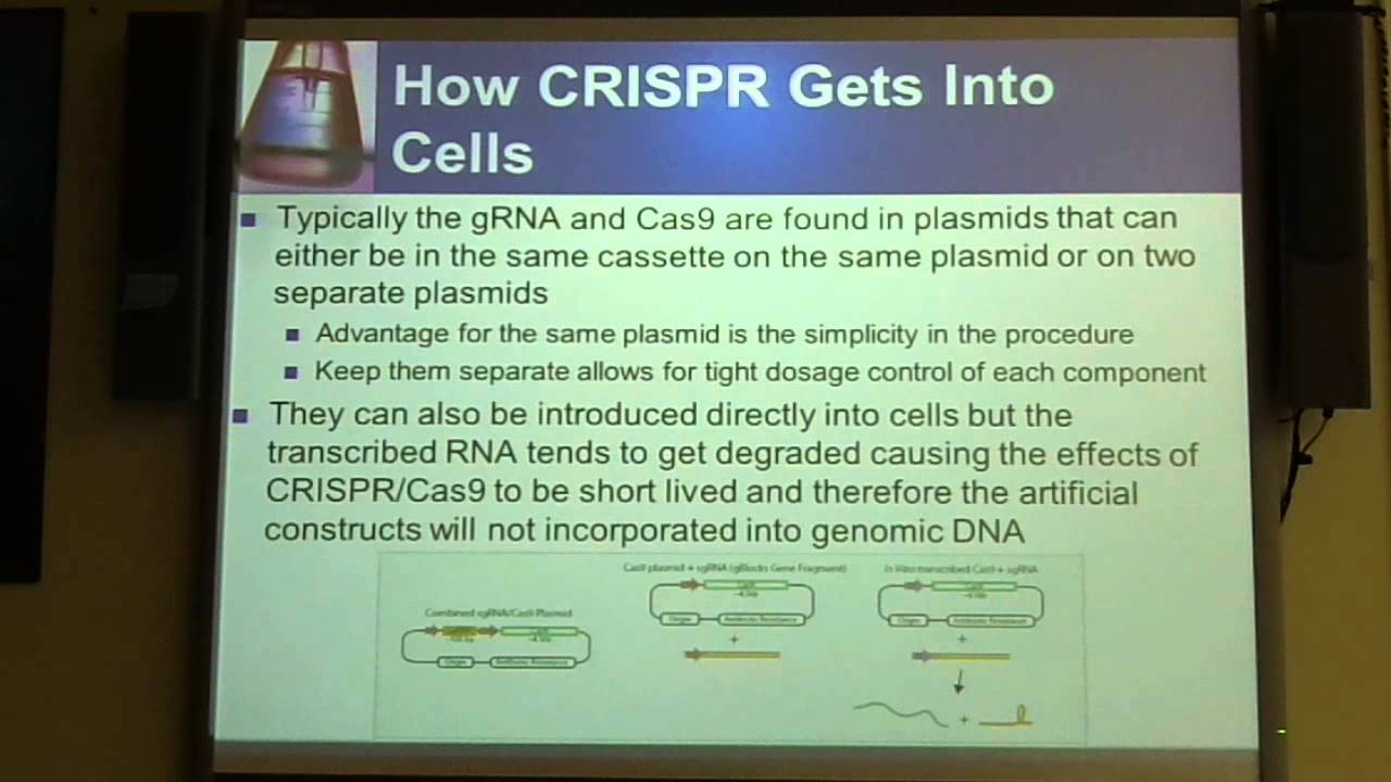 CRISPR/Cas9 Genomic Editing System