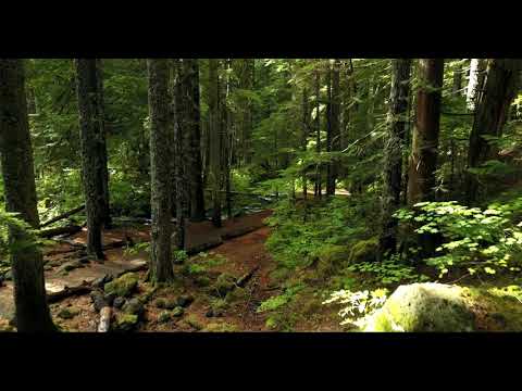 Wonderful Drone Nature Video Full HD {2020} #2