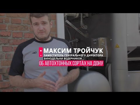 Автохтонные сорта винограда на Ведерникове