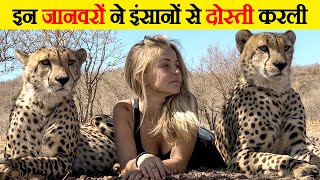 खतरनाक जानवरों का Friendly अंदाज | Friendly Style of Dangerous Animals by Wild Gravity 40,156 views 4 months ago 8 minutes, 12 seconds