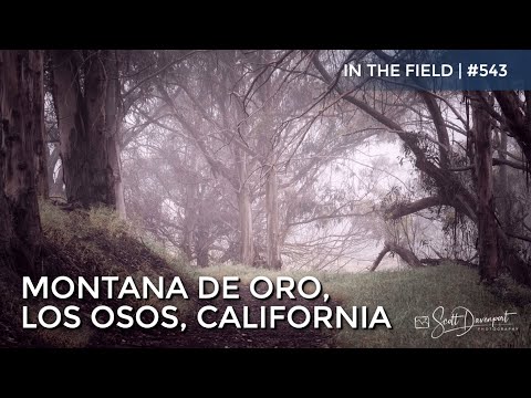 Montana de Oro, Los Osos, California - In The Field #543