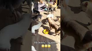 Jerry!!!! 😂😂😂