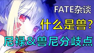 【FATE杂谈】型月世界的兽到底是什么？尼禄小天使是如何一步步从英灵变成兽的？