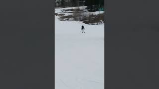 Whitefish Rhily backwards