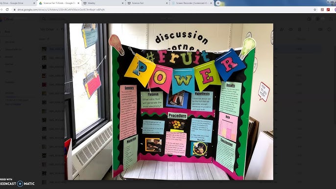 Science fair trifold poster board