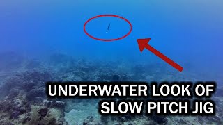 Underwater Look at Slow Pitch Jig